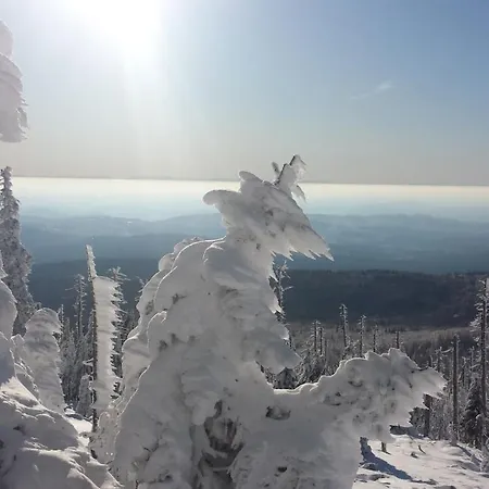 아파트 Abendrot *