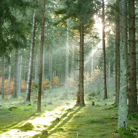 Abendrot 아파트 상트엥글마